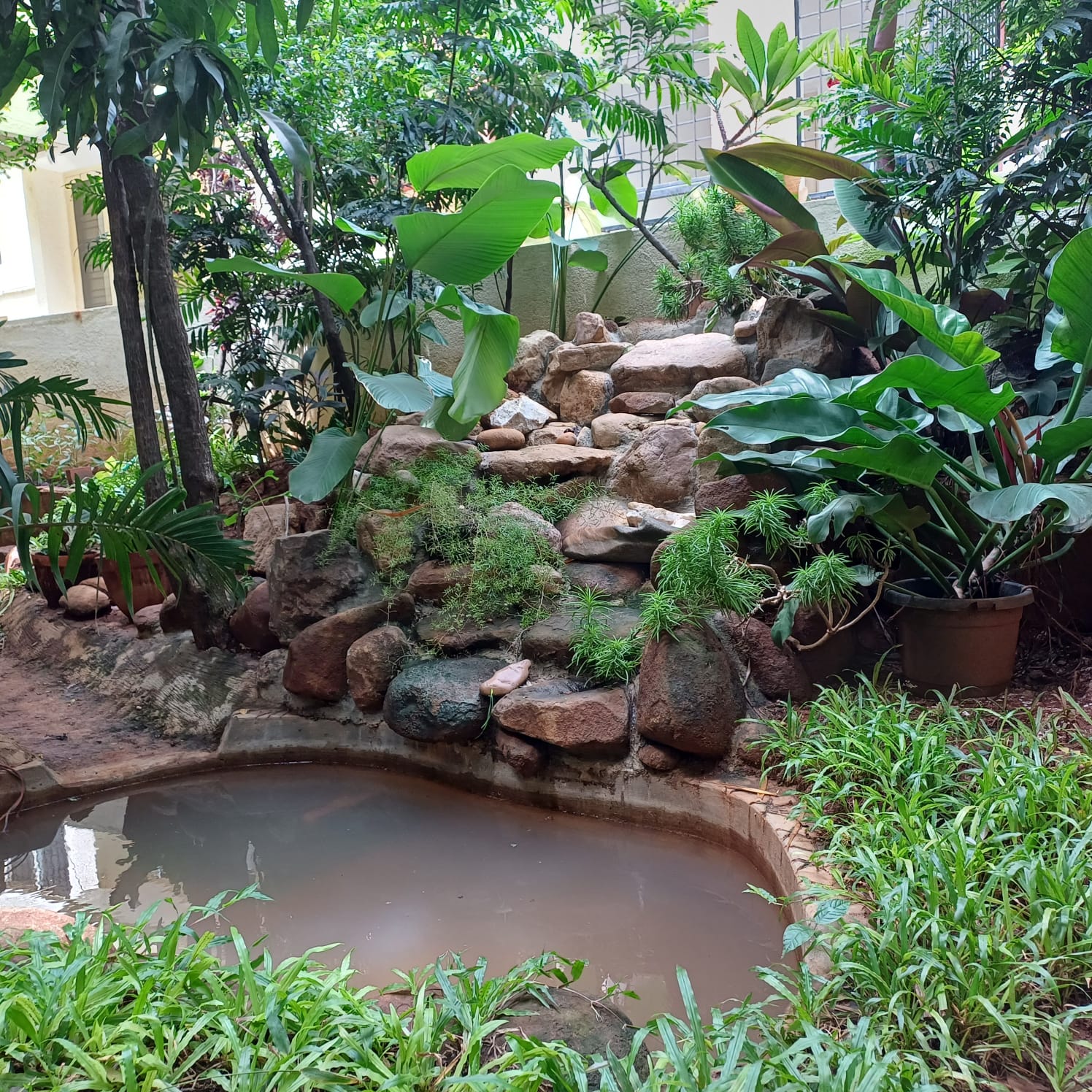 whatsapp image 2025 11 20 at 18.22.26