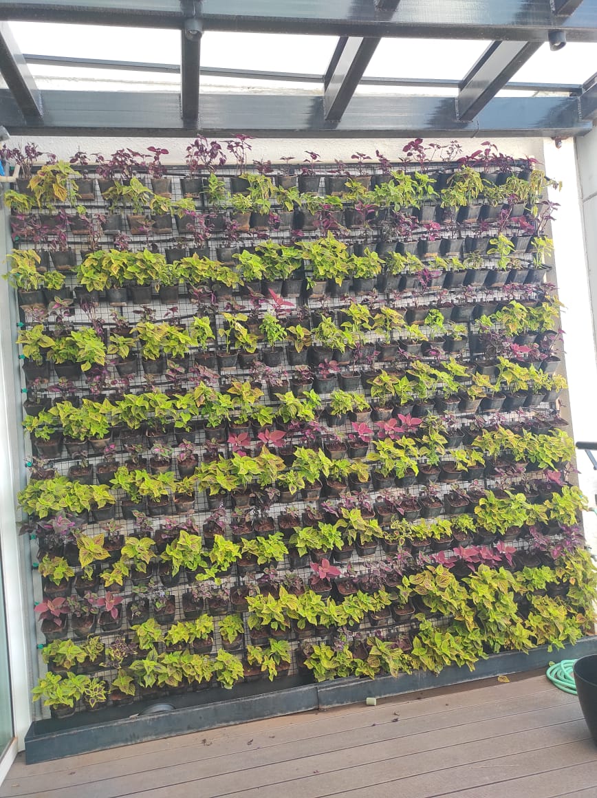 whatsapp image 2025 11 20 at 18.22.33