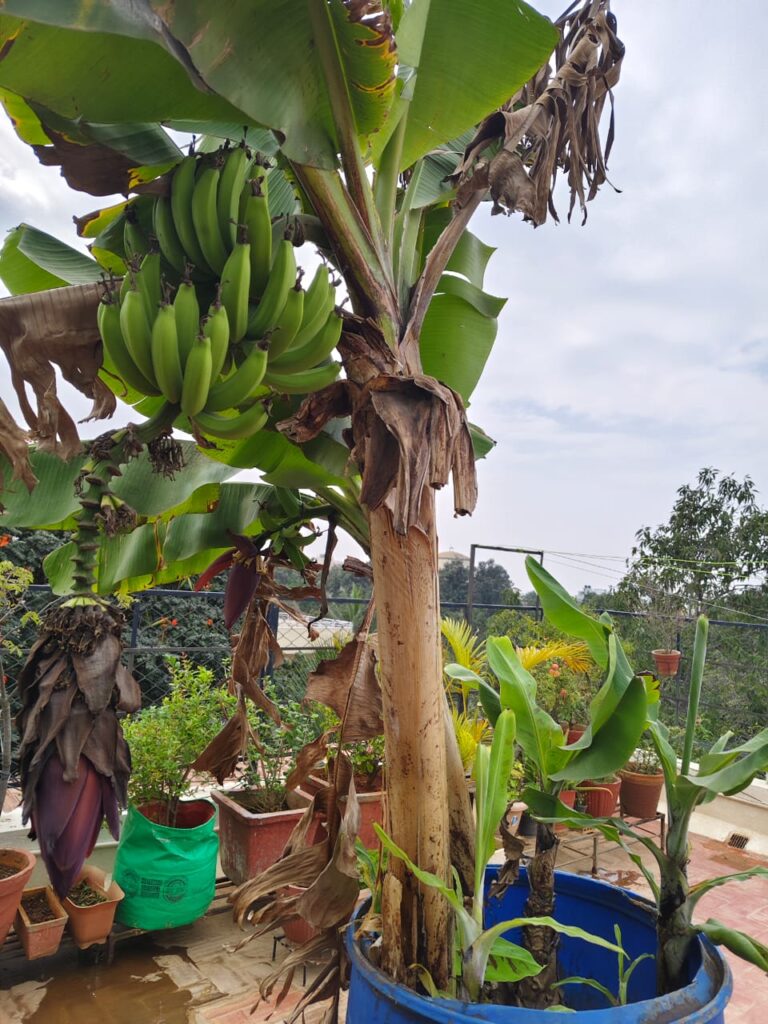 whatsapp image 2025 11 20 at 18.22.46