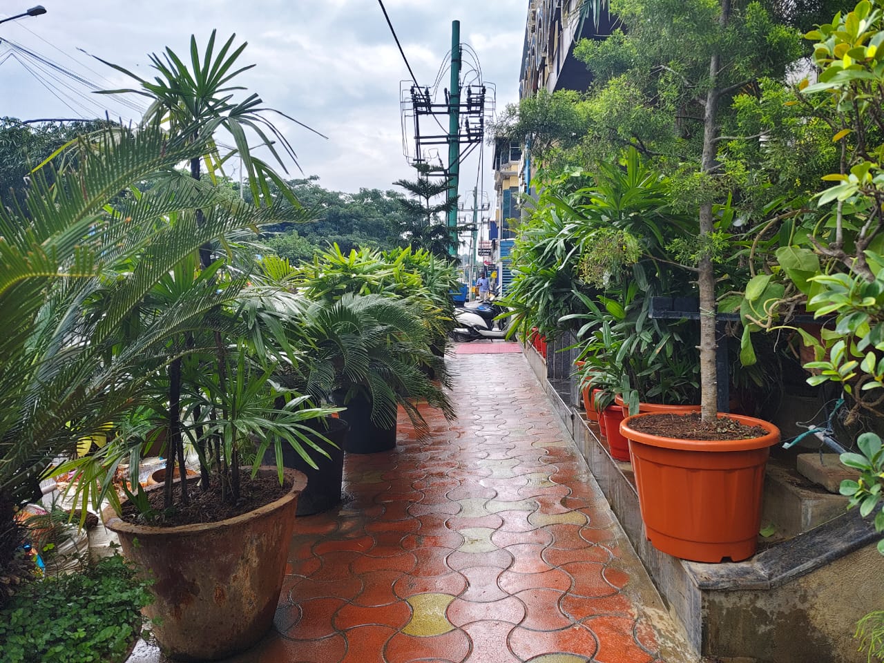 whatsapp image 2025 11 20 at 18.23.29