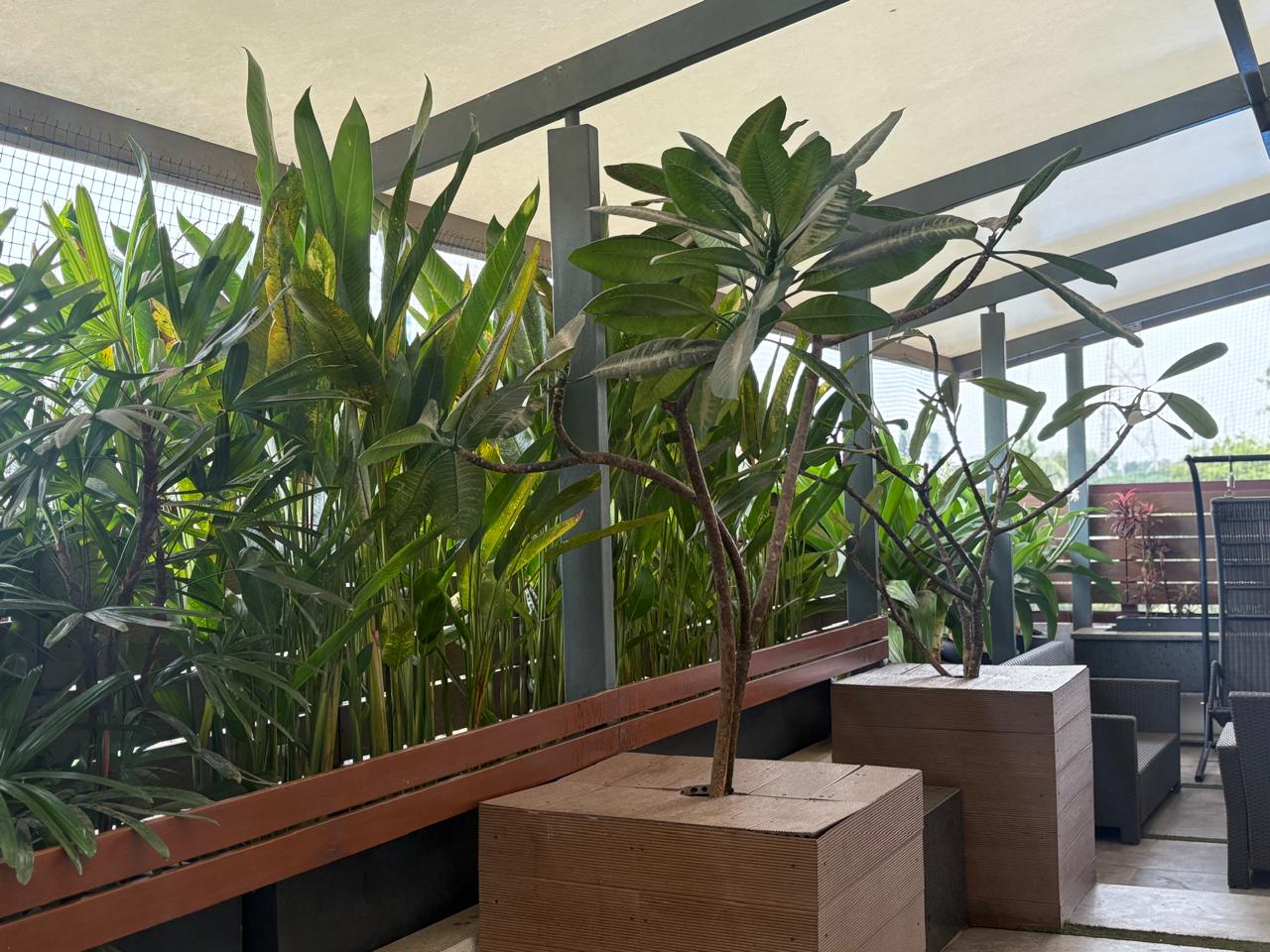 whatsapp image 2025 12 04 at 16.06.57 (5)