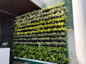 vertical gardening
