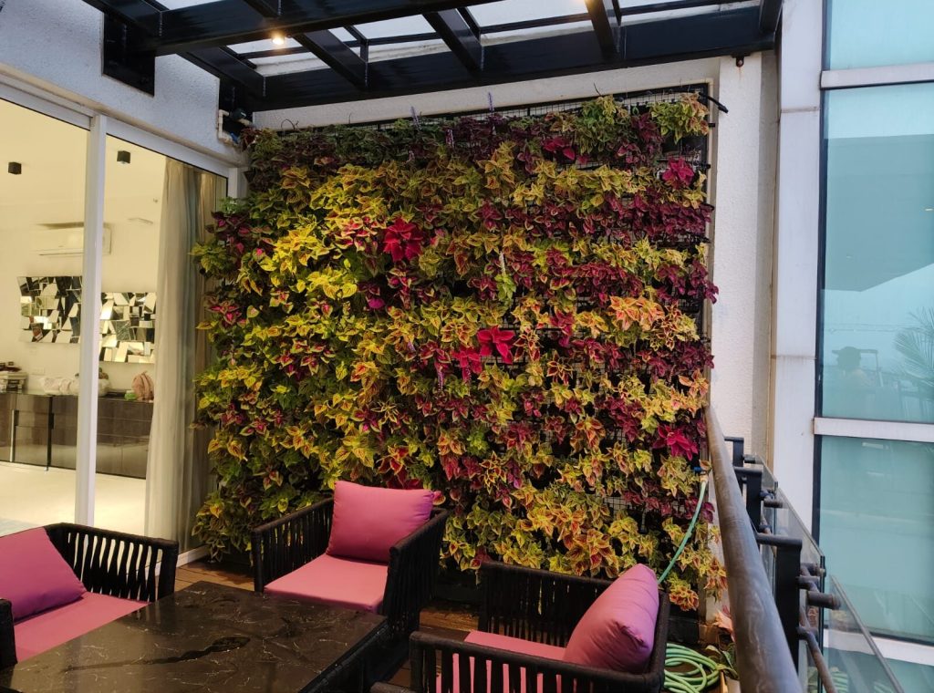 vertical gardens