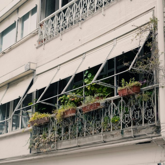 balcony plants. garden landscapers