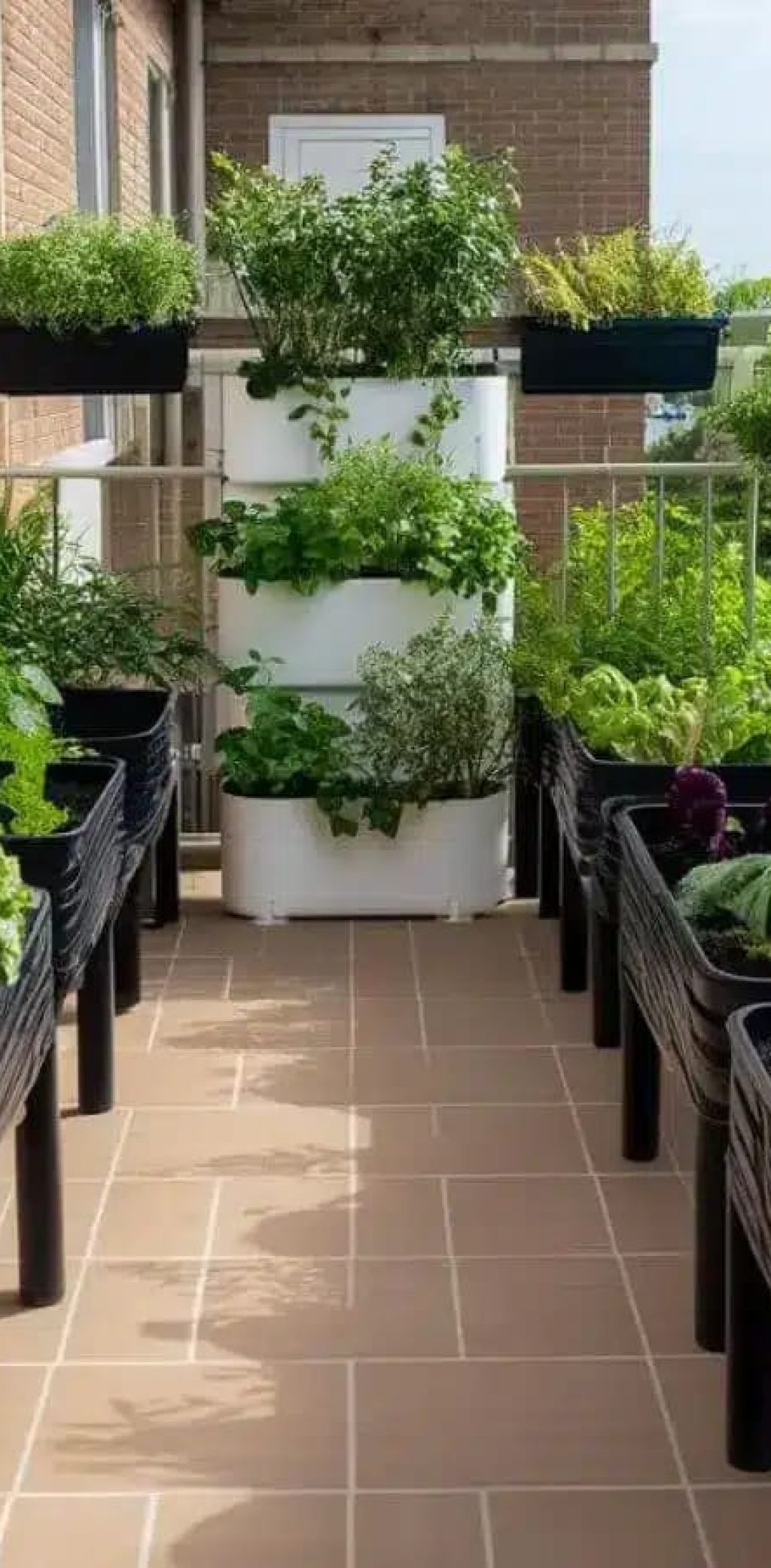 Balcony makeover, vegetables